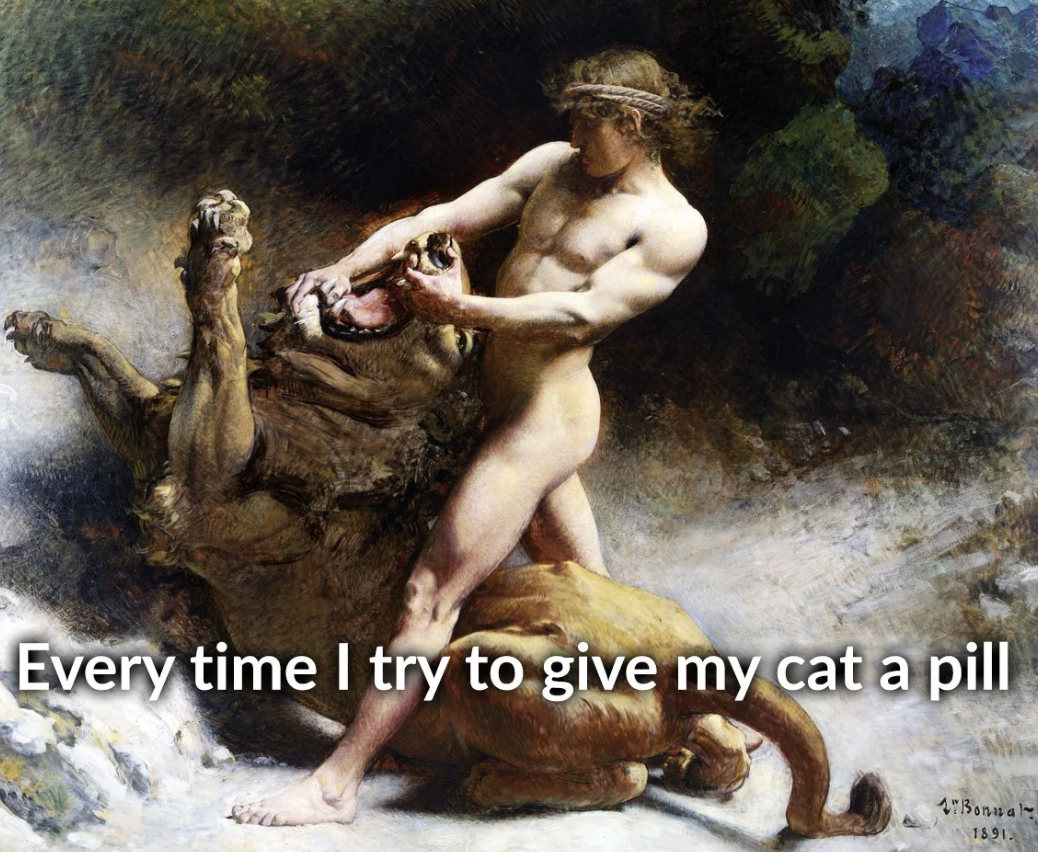 leon bonnat - Every time I try to give my cat a pill 15913